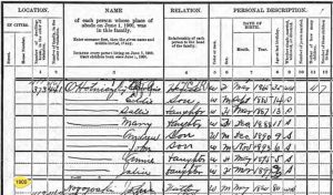 1900-how-to-use-US-census-records-genealogy-300x176.jpg